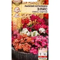 Семена цветов Льюизия котиледон Элис, смесь сортов  Победитель.Выбор экспертов, Ц/П,5 шт.