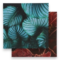 Фотофон двусторонний картон плотность 350 гр "Листья" 50х50 см Фотофон двусторонний картон плотность 350 гр "Листья" 50х50 см