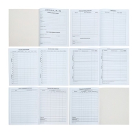 Дневник универсальный для 1-11 классов, "Госсимволика России-4", мягкая обложка, 40 листов Дневник универсальный для 1-11 классов, "Госсимволика России-4", мягкая обложка, 40 листов