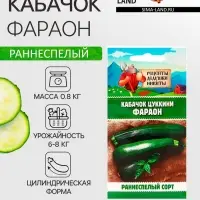 Семена Кабачок цуккини "Фараон", 1 г