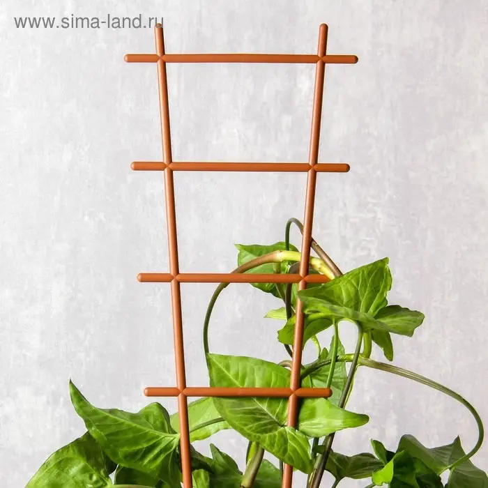 Шпалера, 56&times;19&times;0.5 см, пластик, цвет МИКС, &laquo;Лесенка&raquo;