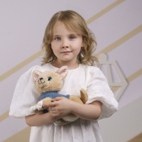 Мягкая игрушка &laquo;Собака в будке&raquo;