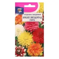 Семена цветов Цв Георгина Смесь "ЯРКИЙ ЗВЕЗДОПАД"  Махровая,0,2 гр