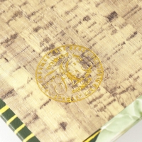 Сейф-книга дерево кожзам "Бюст девушки" 21х13х5 см