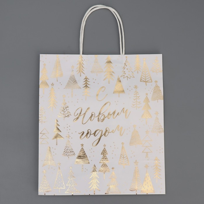 Пакет подарочный новогодний крафтовый &laquo;Новогодняя пора&raquo;, 22 х 25 х 12 см, Новый год
