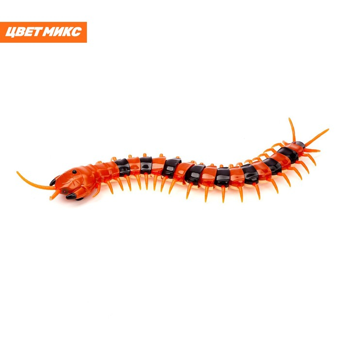 Животное радиоуправляемое &laquo;Сороконожка&raquo;, работает от аккумулятора, свет, МИКС