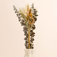 Сухоцветы &laquo;Изумление&raquo;, набор из 5 видов, 48 &times; 16 &times; 6 см