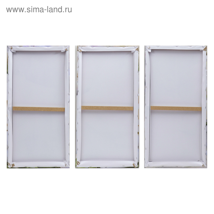 Картина модульная на подрамнике "Розы" 99x65 см. (3-33х65)