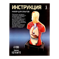 Научный опыт &laquo;Строение тела&raquo;