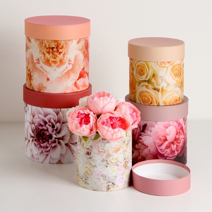 Набор шляпных коробок 5 в1 Набор шляпных коробок 5 в1 "Мечта", 20 х 20 - 15 х 15 см