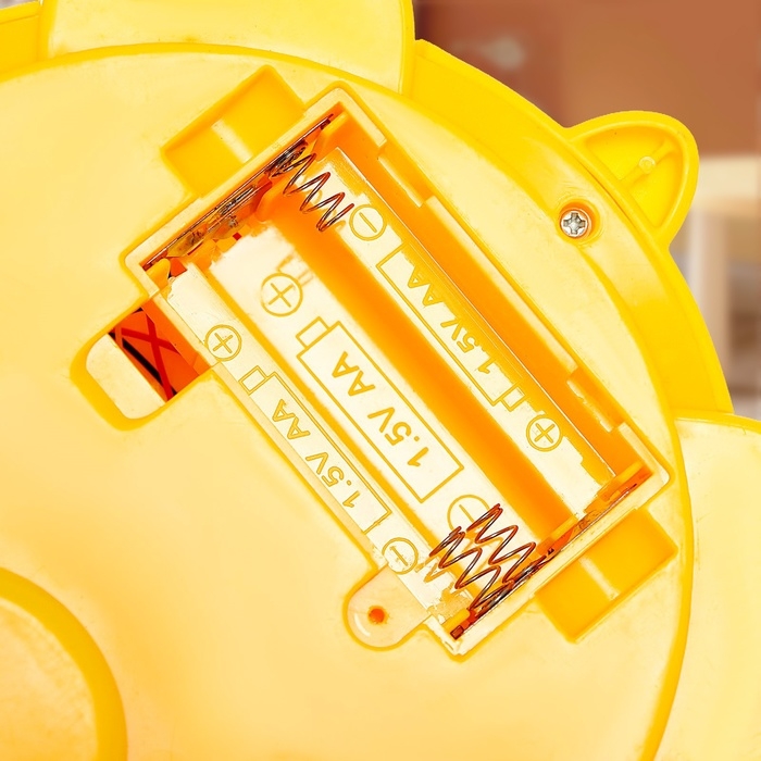 Каталка музыкальная &laquo;Черепашка&raquo;, световые, звуковые эффекты, работает от батареек