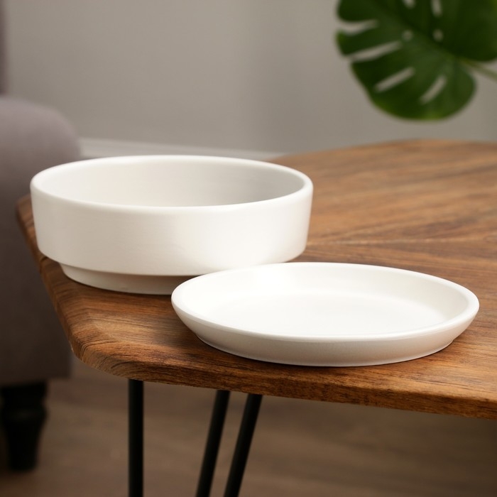 Горшок бонсайница "Огма" для кактусов и суккулентов, белая, 0,7 л