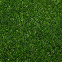 Газон искусственный, ворс 20 мм, 2 &times; 5 м, тёмно-зелёный, Greengo