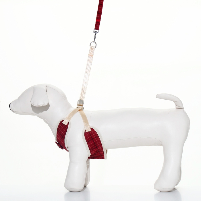 Комплект с мягкой шлейкой "Клетки", размер S, поводок, 120 х 1,5 см, ОГ 28-62 см, красный