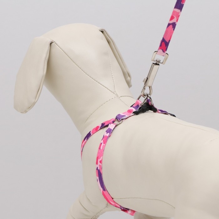Комплект "Камуфляж", капрон, ширина 1см,шлейка 21-35 см,поводок 120 см, капрон, розов/фиолет