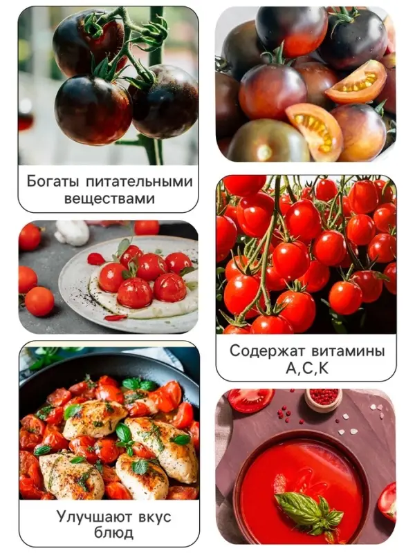 Семена Томат "Черный Мавр", 0,1 г