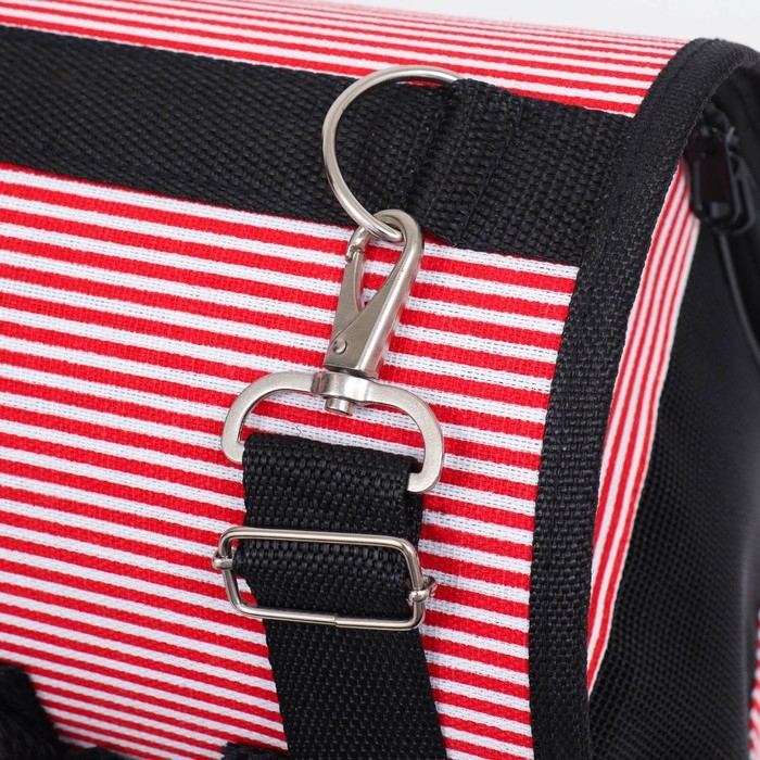 Сумка-переноска с органайзером в полоску, размер L, 47 х 27 х 23 см