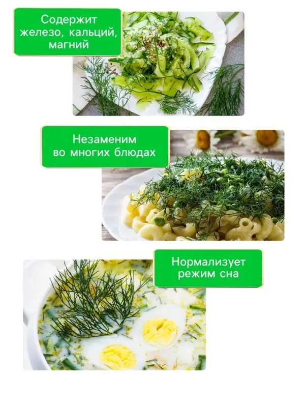 Семена Укроп «Супердукат ОЕ», 2 г Семена Укроп «Супердукат ОЕ», 2 г