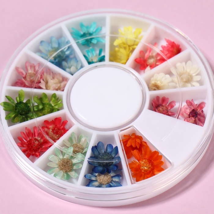 Сухоцветы для декора ногтей «Ромашки», объёмные, 12 видов, в футляре, разноцветные Сухоцветы для декора ногтей «Ромашки», объёмные, 12 видов, в футляре, разноцветные