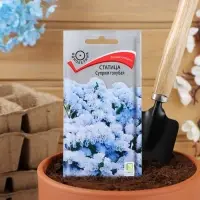 Набор семян Статица "Суприм голубая", 5 шт.