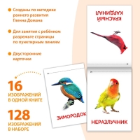 Книги «Карточки Домана. Окружающий мир», набор, 8 шт. по 20 стр. Книги «Карточки Домана. Окружающий мир», набор, 8 шт. по 20 стр.
