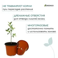 Горшок для рассады, 3.5 л, d=20 см, h=16 см, мягкий пластик, терракот, Greengo