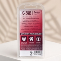 Ароматизатор подвесной «Вкус лета», аромат: лесные ягоды, 5 мл Ароматизатор подвесной «Вкус лета», аромат: лесные ягоды, 5 мл