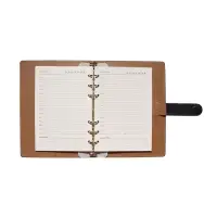 Органайзер на кольцах, C6, с хлястиком, 80л, линия, к/зам, Черный