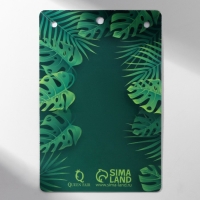 Кулон &laquo;Прелесть&raquo; лист монстера, цвет салатовый в золоте, 40 см