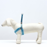 Шлейка супермягкая со светоотражающей прошивкой, размер М, обхват 32-63 см, голубая