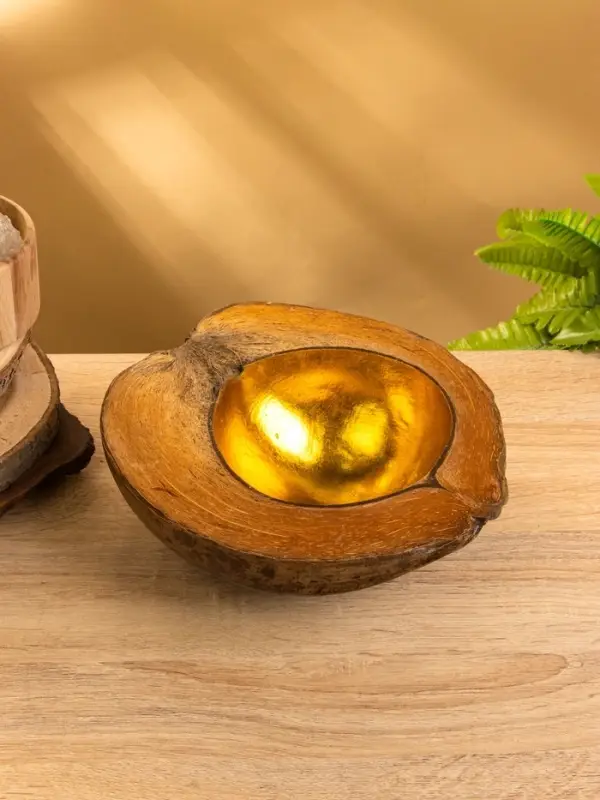 Чаша из кокоса, 22х24,5х9 см, коричнево-золотой