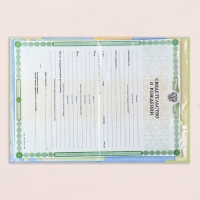 Свидетельство о рождении "Месяц" тиснение, зеленый бант, А5 Свидетельство о рождении "Месяц" тиснение, зеленый бант, А5