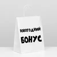 Пакет подарочный с приколами, крафт &laquo;Новогодний бонус&raquo;, белый, 24&times;14&times;30 см