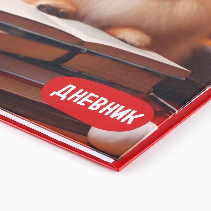 Дневник школьный для 1-11 класса, в твердой обложке, 40 л. &laquo;Пушистик&raquo;