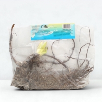 Лилейник Double Pink Wonder, многолетник, корневище в пакете с торфогрунтом, р-р I, 1 шт.