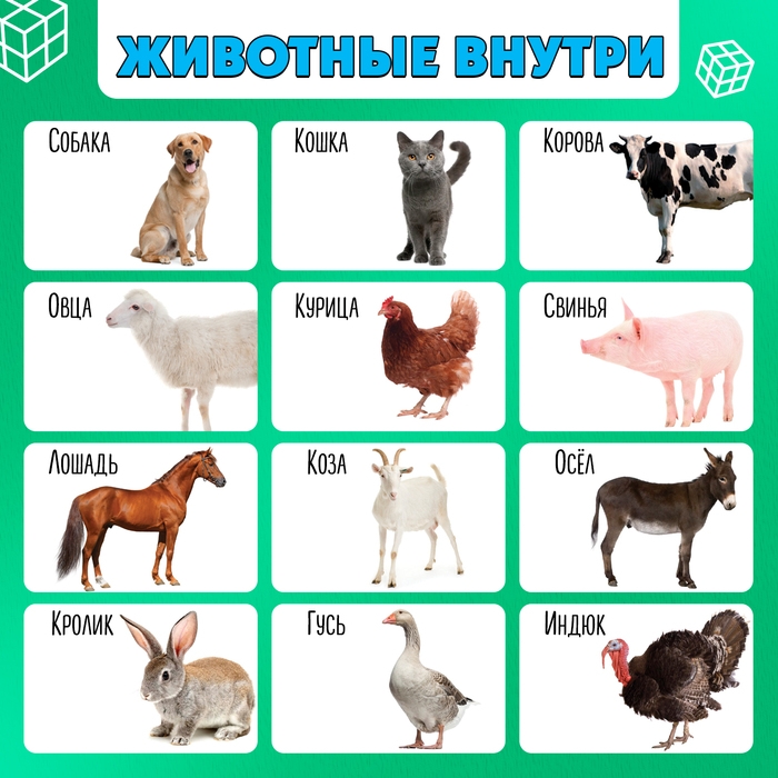 Развивающий трансформер &laquo;Умникуб: Домашние животные&raquo;, 3+