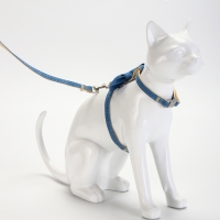 Комплект амуниции "Леди и Джентельмен", поводок 120 х 1 см, синий