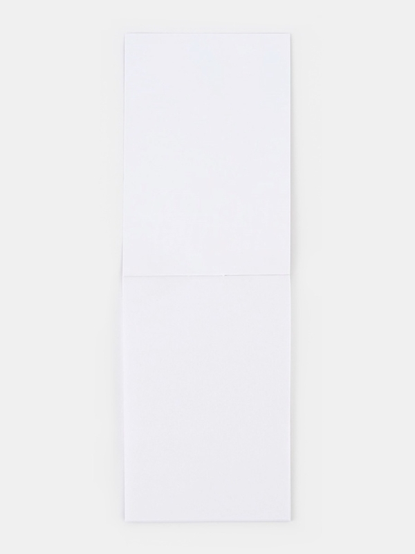 Подарочный набор: блокнот, карандаши (2 шт, ч/г) и значок-дерево "8 марта. С праздником весны"   106