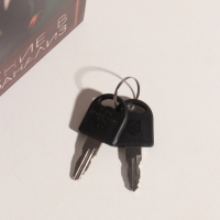 Сейф-книга дерево кожзам "Зигмунд Фрейд. Введение в психоанализ" 21х13х5 см