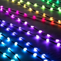 Умная гирлянда &laquo;Нить&raquo; 5 м роса с насадками &laquo;Цветочки&raquo;, IP20, серебристая нить, 100 LED, пульт ДУ, приложение, свечение RGB, USB