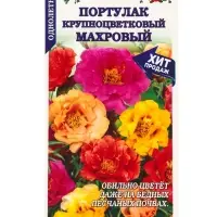 Семена Портулак Махровый крупноцветковый /Сотка/ 0,1г/ смесь h-20см, d-6см/*1500