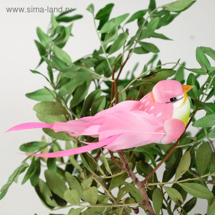 Птичка для декора и флористики, на прищепке, МИКС, пластиковая, 1шт., 8 х 8 см