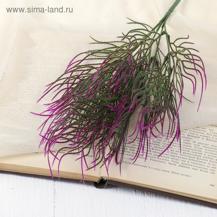 Букет Букет "Пырей" 35 см, микс