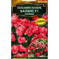 Семена цветов Бальзамин Баланс F1 сэлмон  С. Hem Genetics Золотая серия, Ц/П,7 шт.