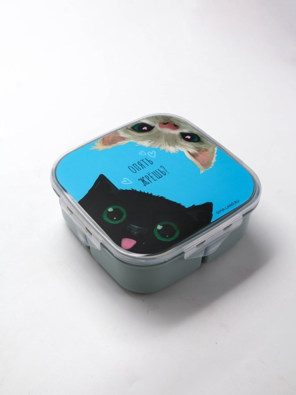 Ланч - бокс с секциями и ложкой &laquo;Коты&raquo;, 17,8 х 17,8 х 7 см