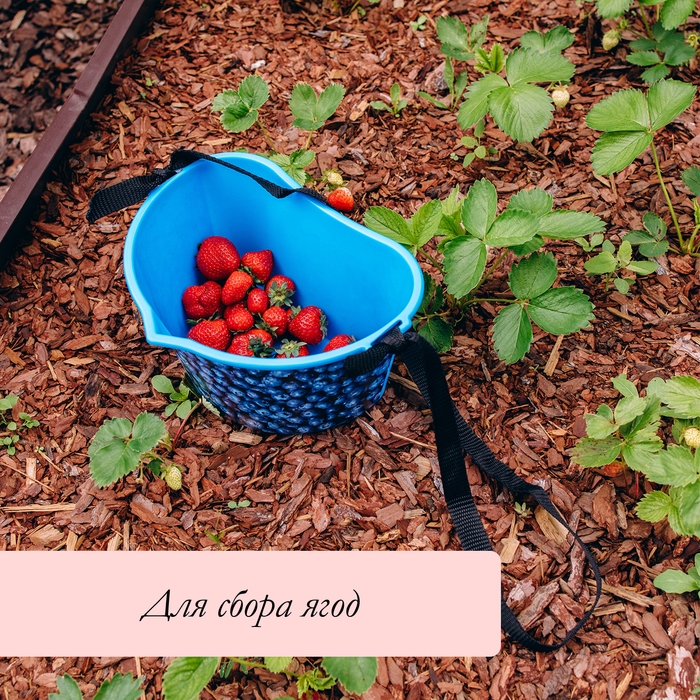 Ёмкость для сбора ягод, 3 л, &laquo;Черника&raquo;, голубая