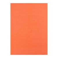 Бумага цветная бархатная А5, 10 листов, 10 цветов Мульти-Пульти, в папке Бумага цветная бархатная А5, 10 листов, 10 цветов Мульти-Пульти, в папке