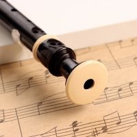 Блокфлейта Music Life, 8 отверстий, черный чехол, шомпол, 30 см Блокфлейта Music Life, 8 отверстий, черный чехол, шомпол, 30 см