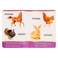 Книжка картонная «Домашние животные» 10 стр., МИКС Книжка картонная «Домашние животные» 10 стр., МИКС