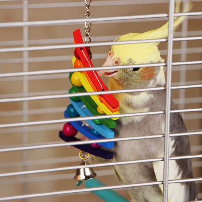 Игрушка для птиц Игрушка для птиц "Качели Радуга", микс